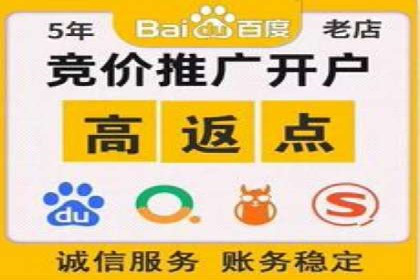 百度竞价排名服务：成功案例解析